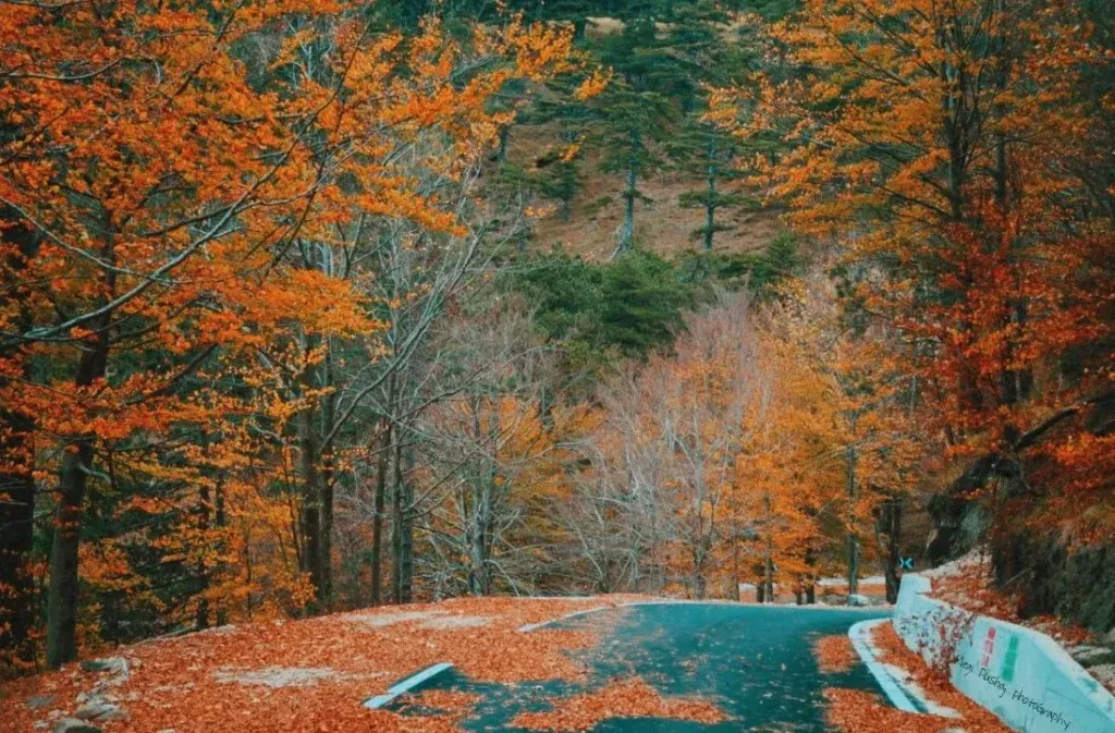qafshtama-park-kruja