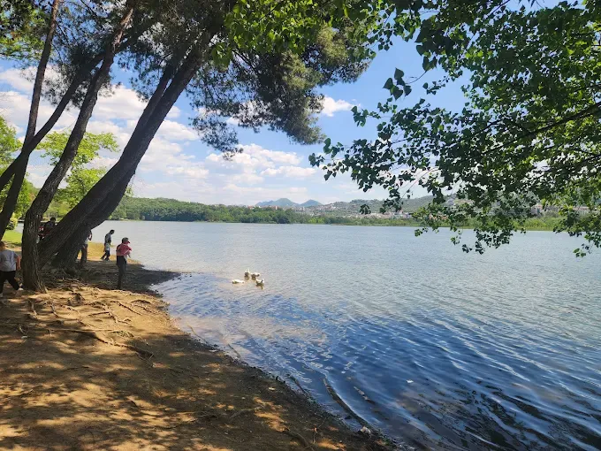 Tirana-Lake-Park-albanify